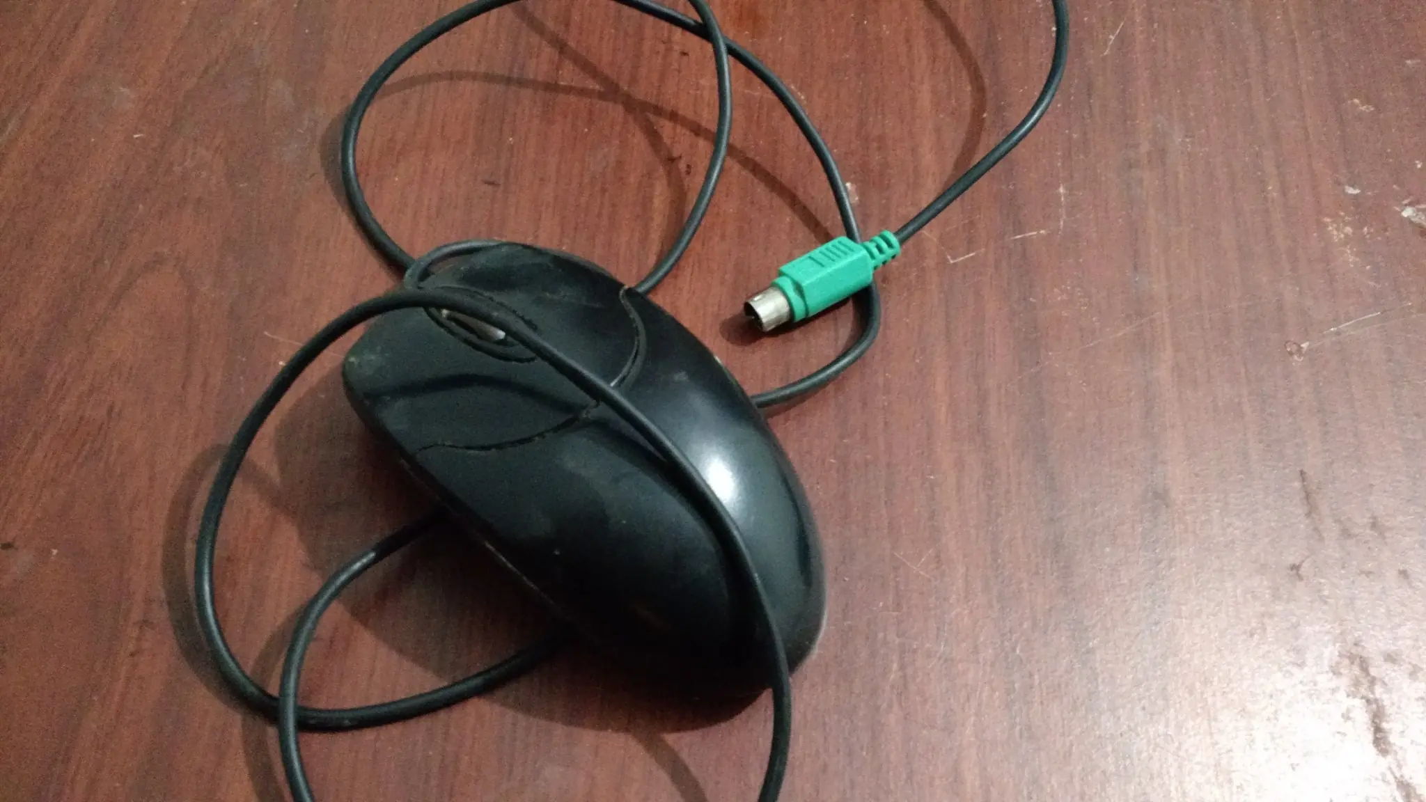 mouse