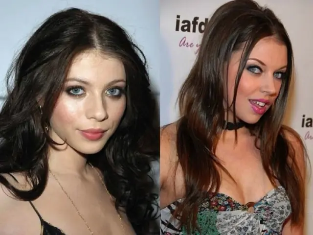 20 Estrellas famosas Vs sus doppelgängers porno!