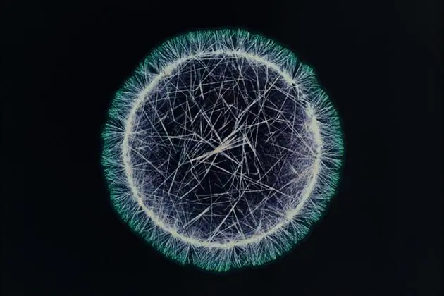 ¿Cómo se ven ciertas drogas bajo el microscopio?