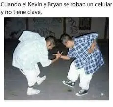 inteligencia colectiva