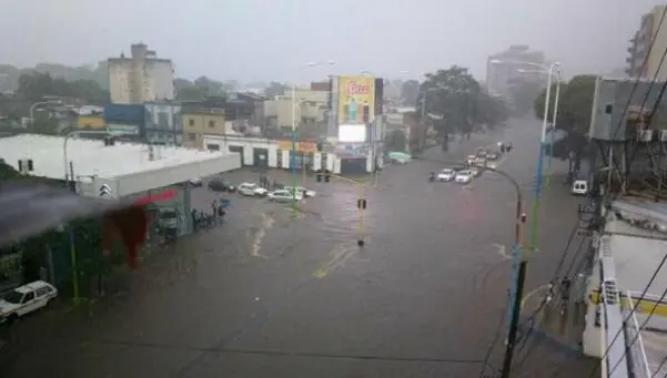 Tucuman Yerba Buena