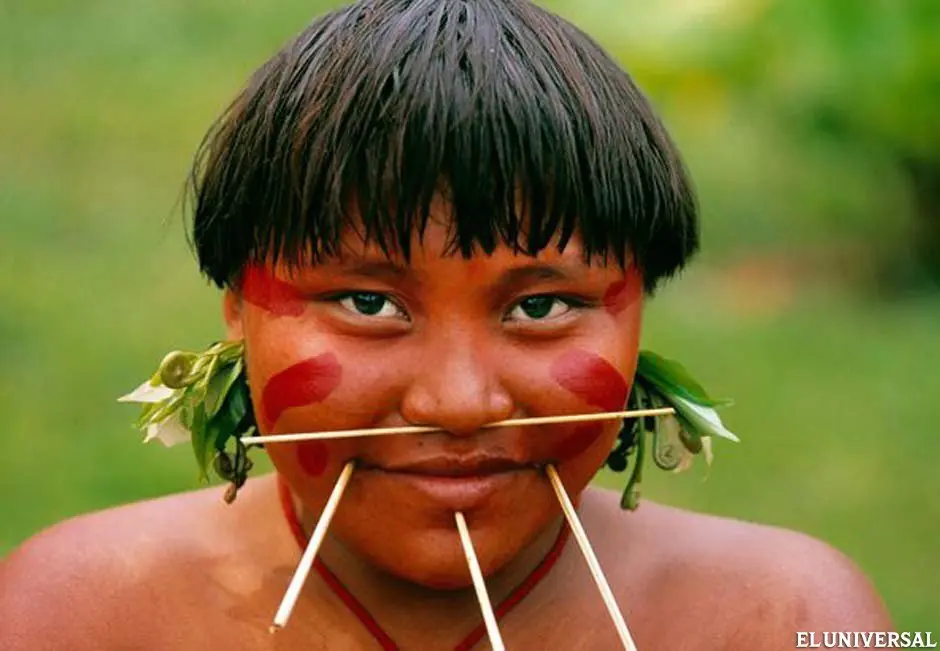 tribu tribu