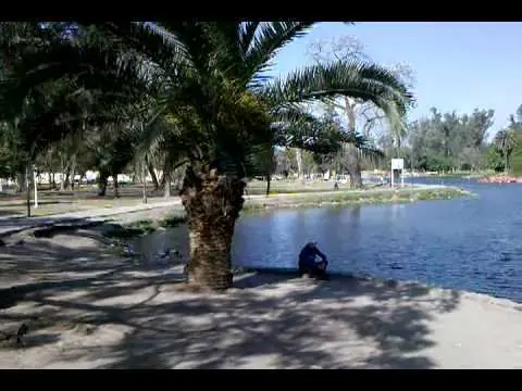 Tucuman Yerba Buena