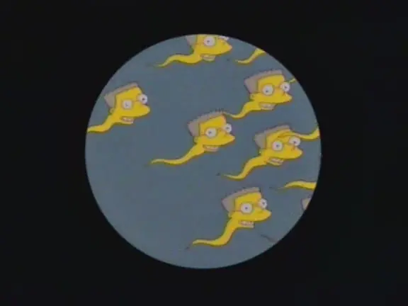 para la masturbanda