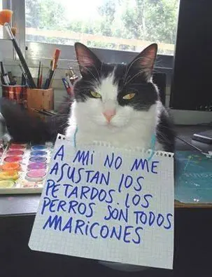 imagenes graciosas