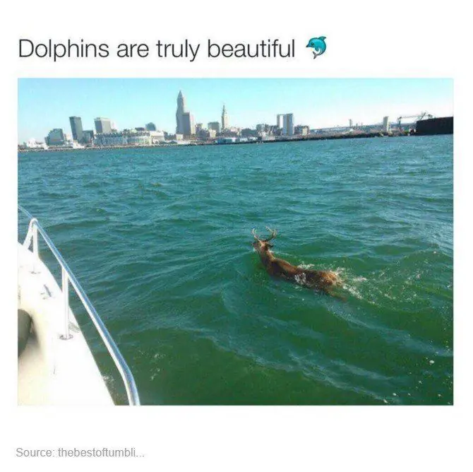 funny