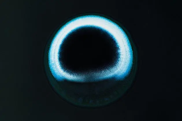 vista