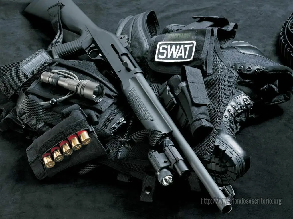 Te gustan las armas pasate!