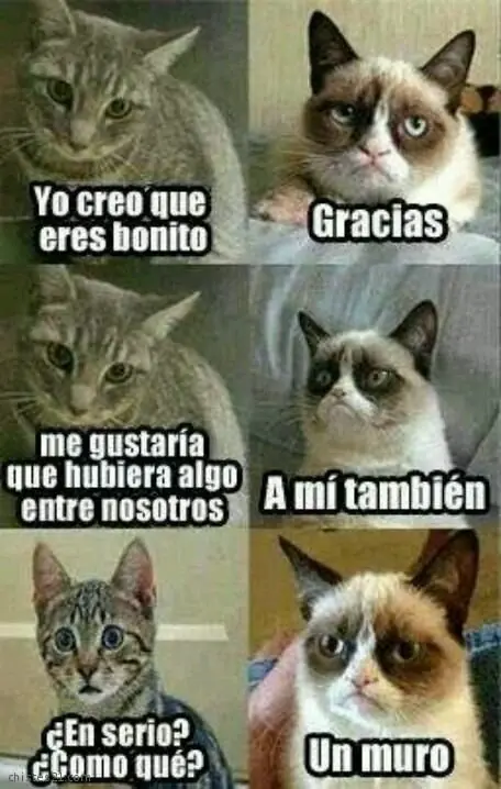 imagenes graciosas