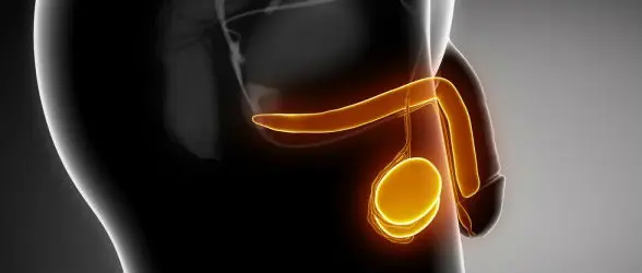 Ejercicio mejora el semen