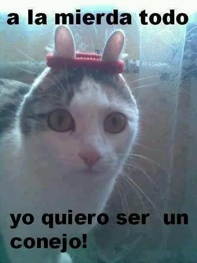 Entra que te saco una sonrisa en esta tarde