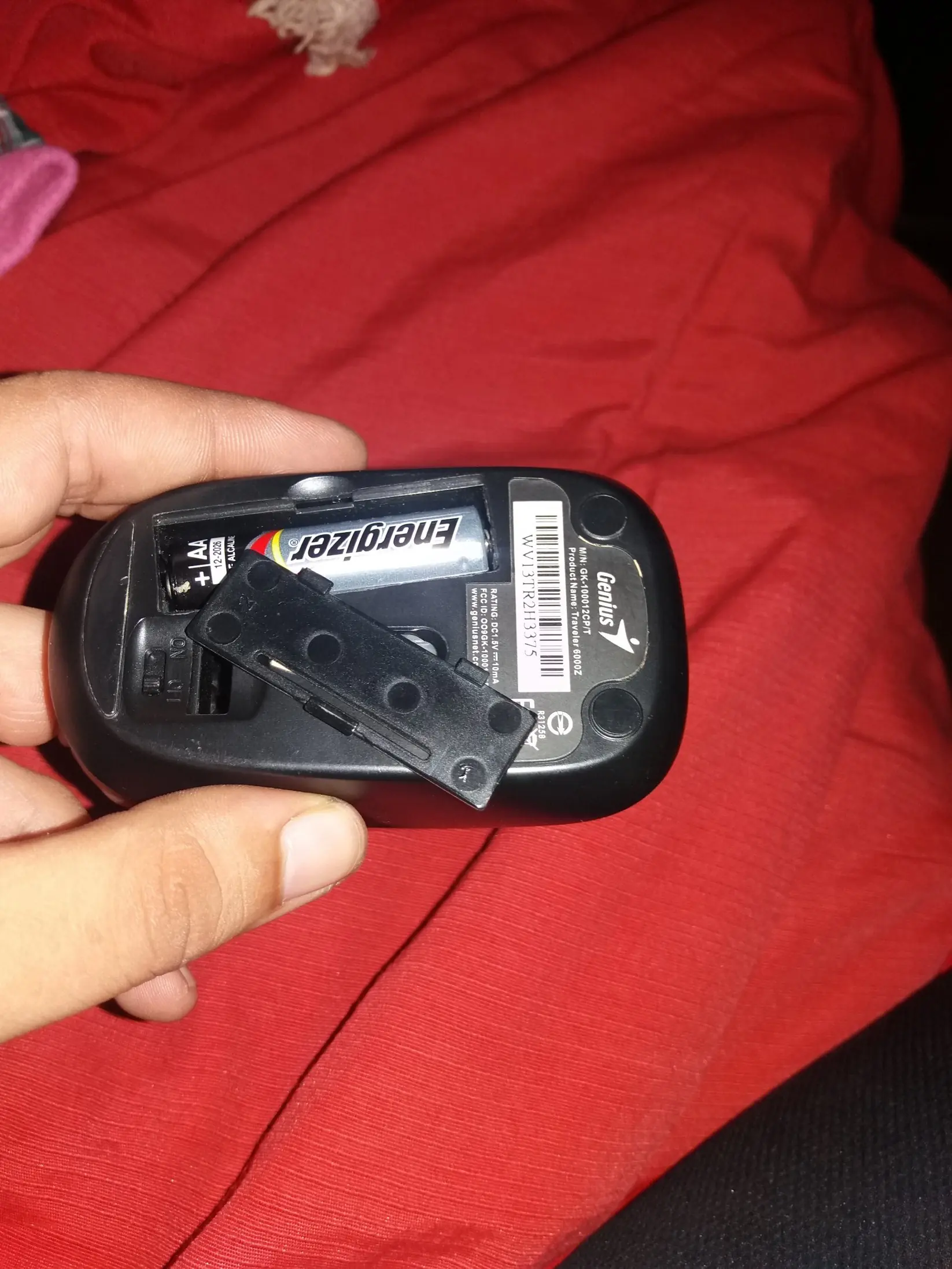 mouse