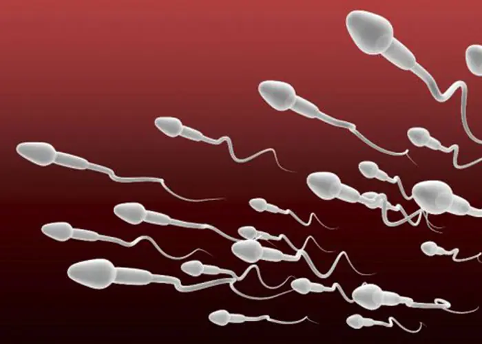 semen