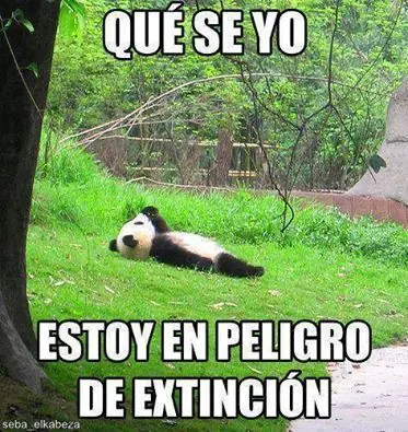 ocio