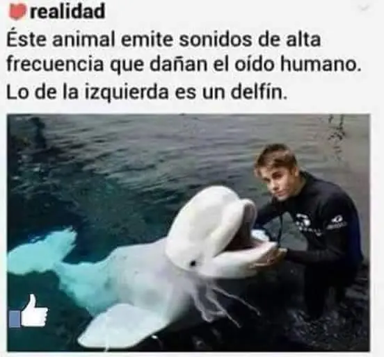 humor