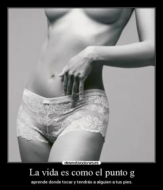 datos curiosos