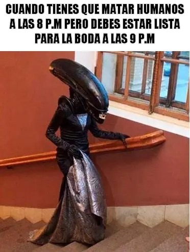 cinefilos
