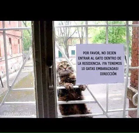 imagenes