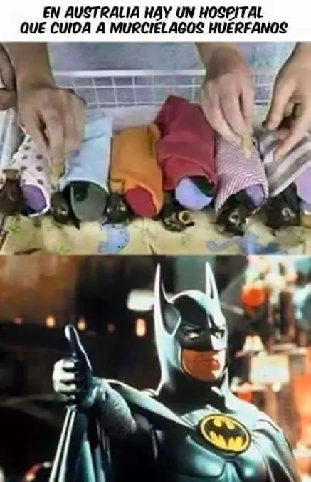 humor