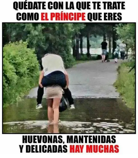 humor memes