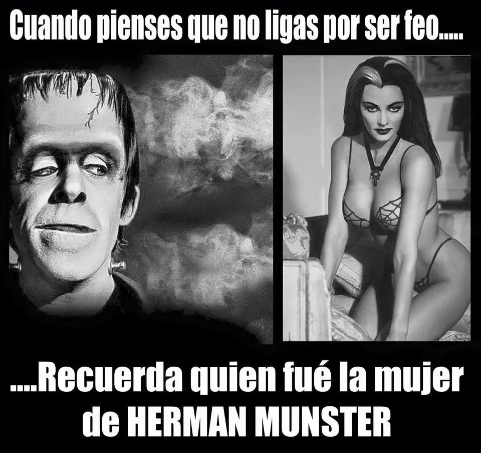aqui habia otra imagen