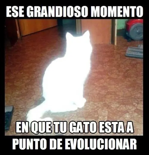 imagenes graciosas