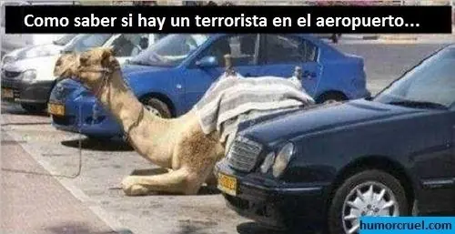 Entra que te saco una sonrisa en esta tarde (parte 2)