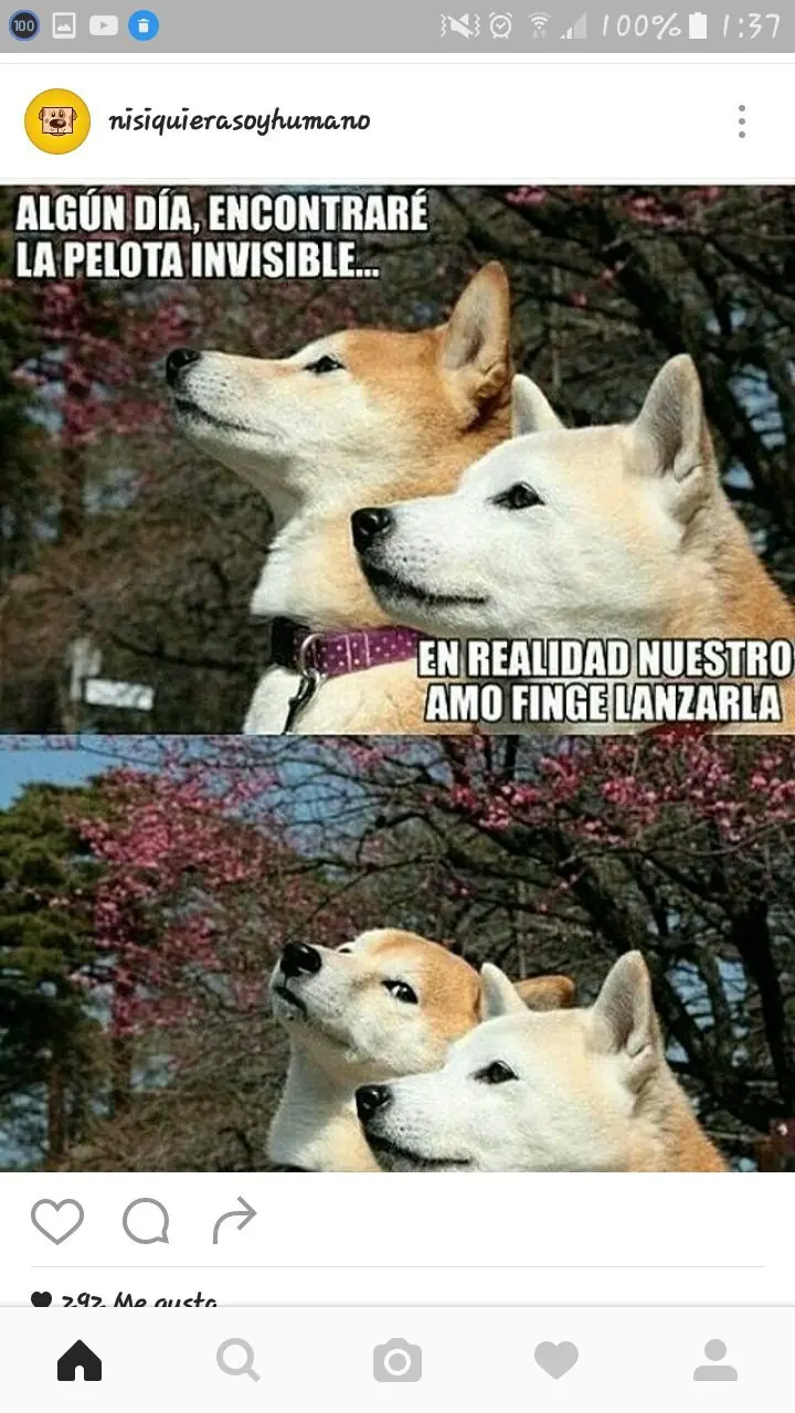 ¿Viernes aburrido? Ríe con este Humor Grafico
