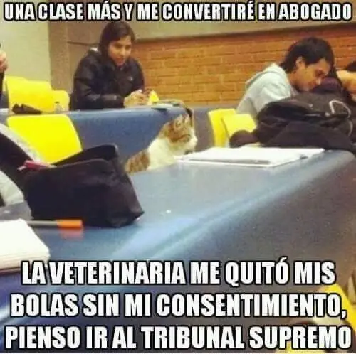 Mis Favoritas del Mi (parte 6)