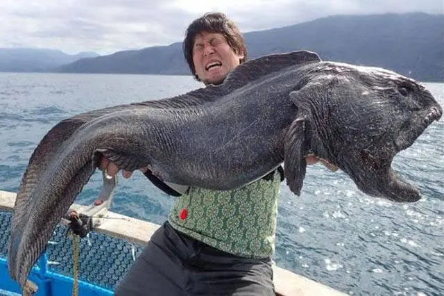 Mientras tanto en Japón