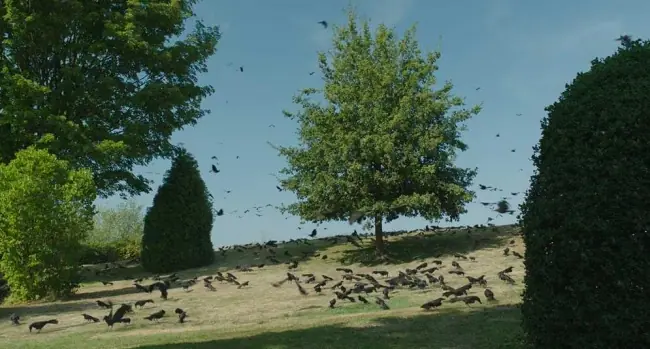viral