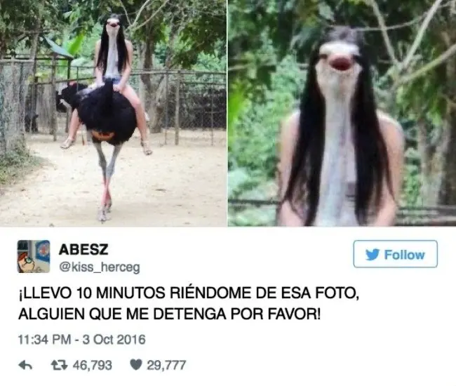 imagenes divertidas