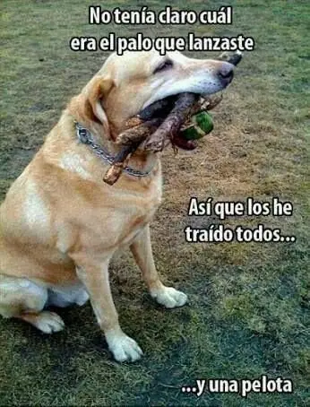 Entra que te saco una sonrisa en esta tarde (parte 2)