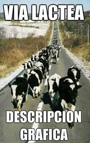 popurri de imagenes