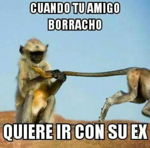 humor grafico