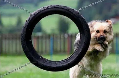fails