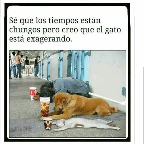 humor