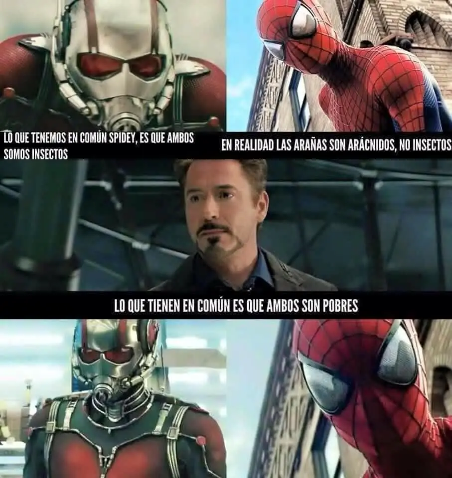 aqui habia una imagen