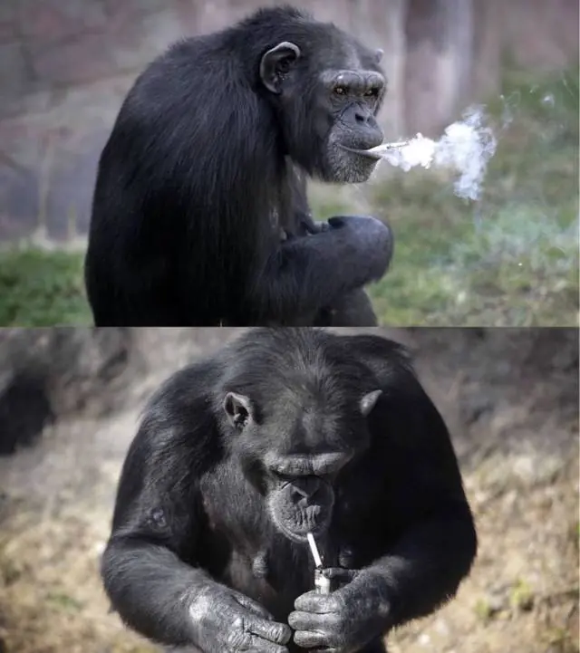 imagenes de humor