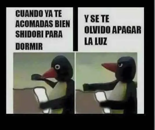 imagenes divertidas