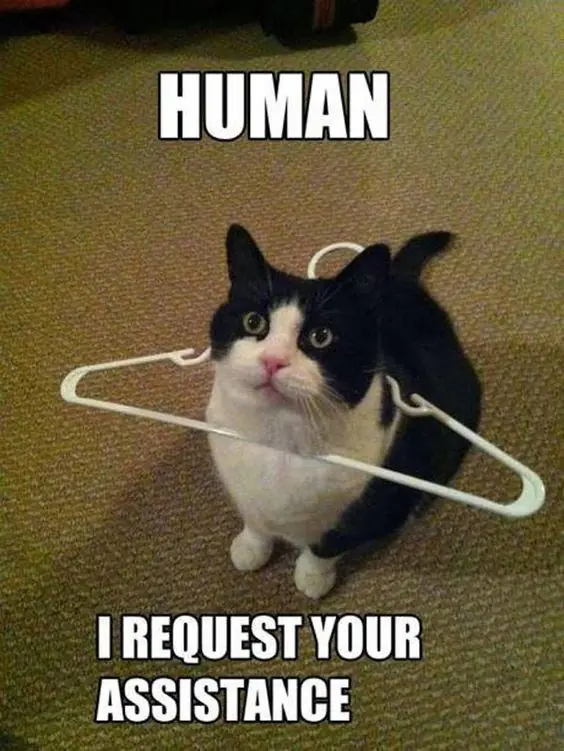 humor