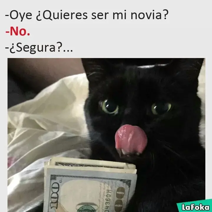 imagenes graciosas