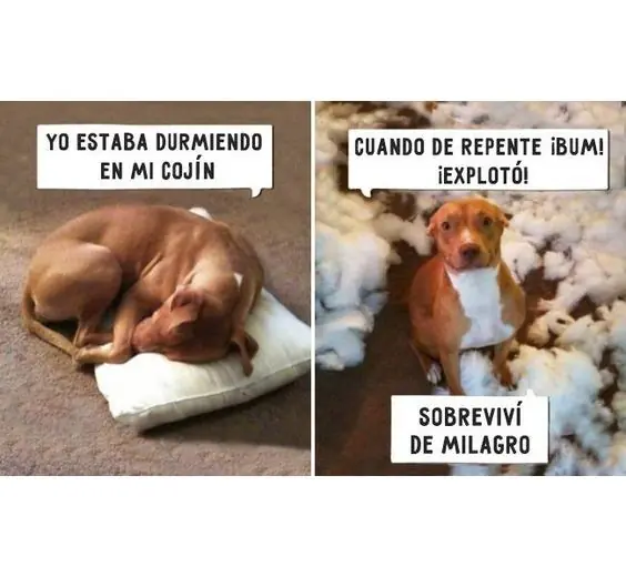 Entra que te saco una sonrisa en esta tarde (parte 3)