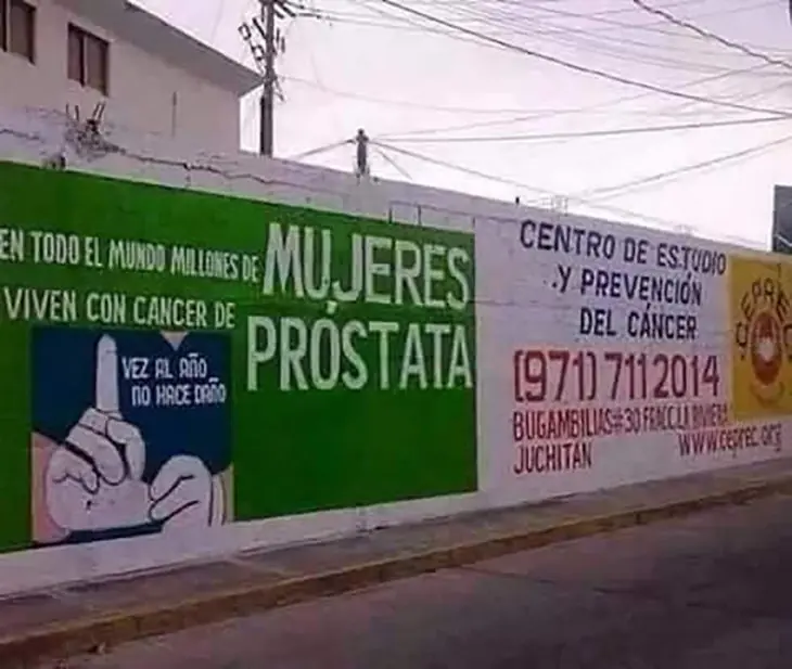 fotos