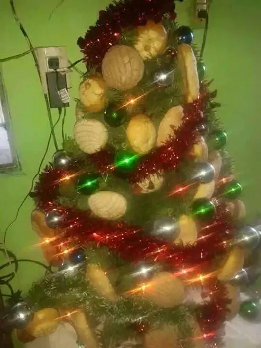 fotos