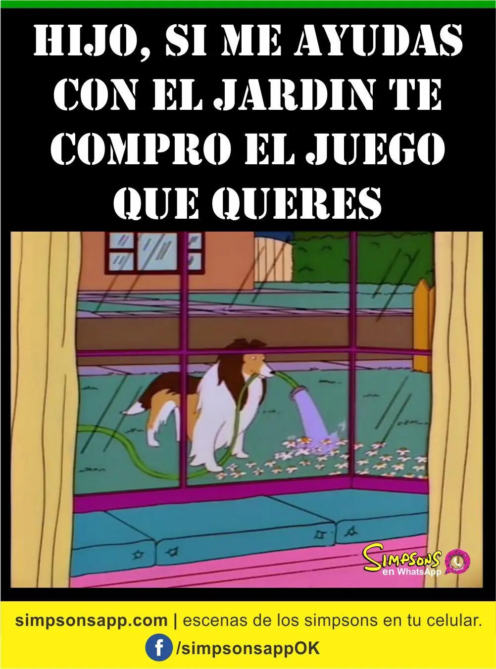 memes