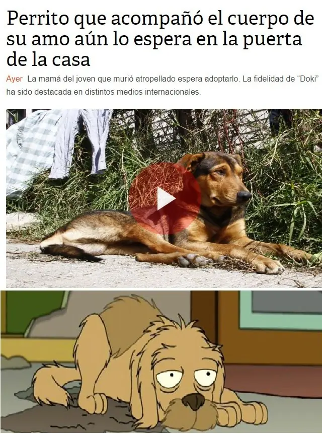fotos