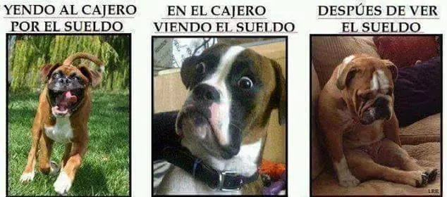 funny