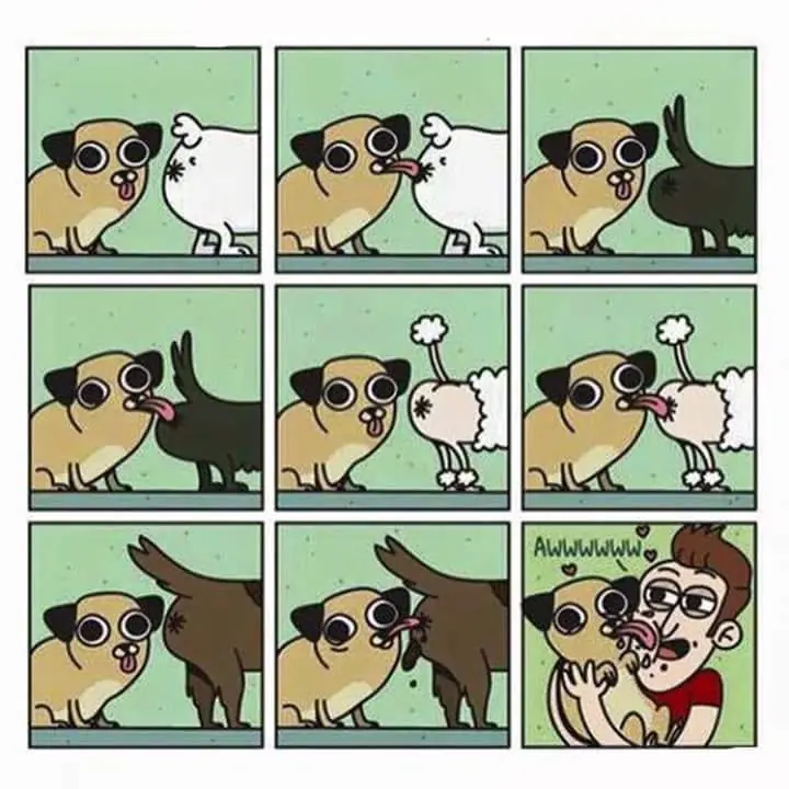 imagenes