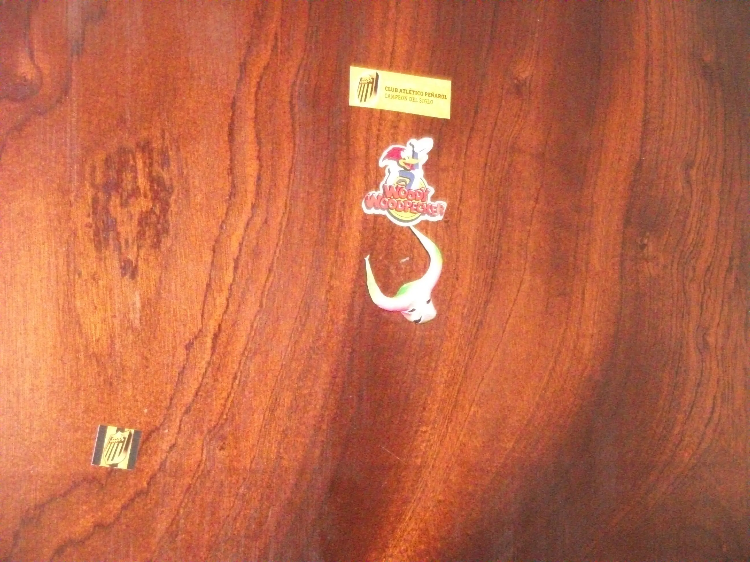 virgocueva